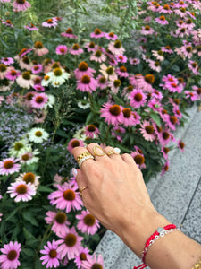 Dumbo Golden Ring